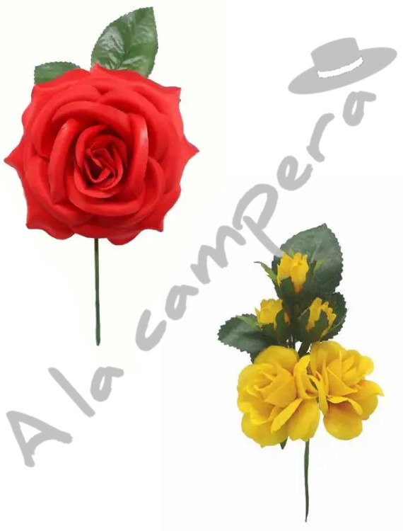 images